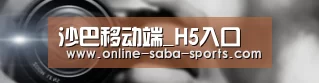 公司动态