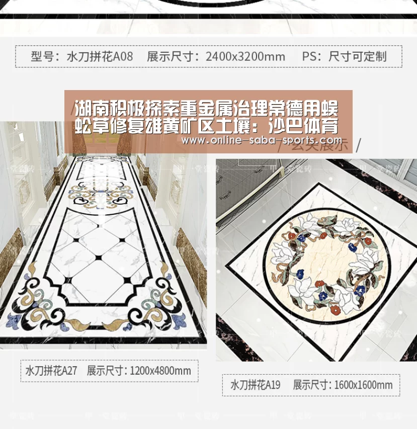 湖南积极探索重金属治理常德用蜈蚣草修复雄黄矿区土壤:沙巴体育app(图1) 沙巴体育平台