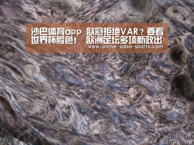 沙巴体育app