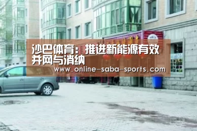 沙巴体育:推进新能源有效并网与消纳(图3) 沙巴体育