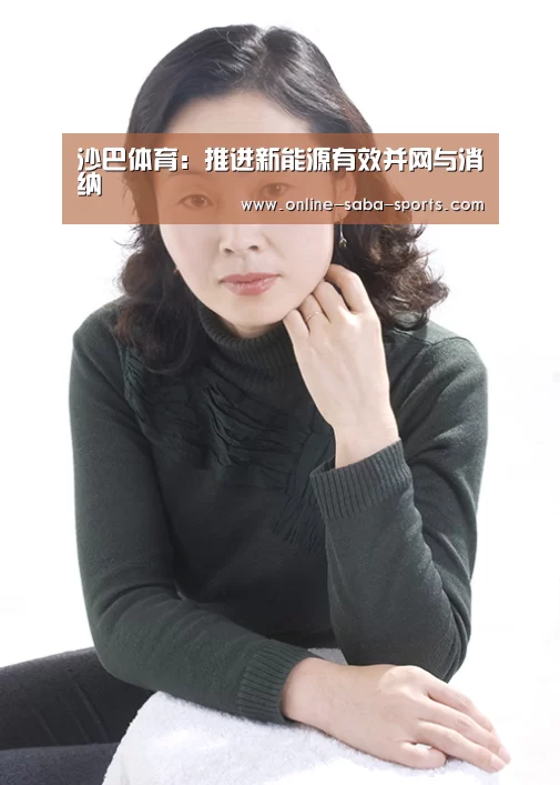 沙巴体育:推进新能源有效并网与消纳(图2) 沙巴体育