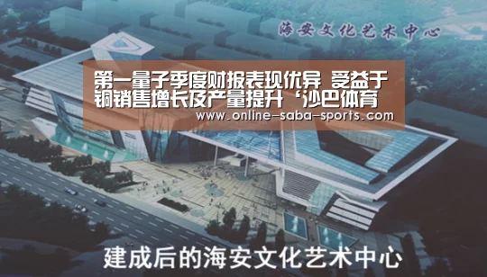 第一量子季度财报表现优异 受益于铜销售增长及产量提升‘沙巴体育平台’(图2) 沙巴体育平台