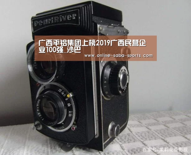 广西平铝集团上榜2019广西民营企业100强_沙巴(图1) 沙巴体育
