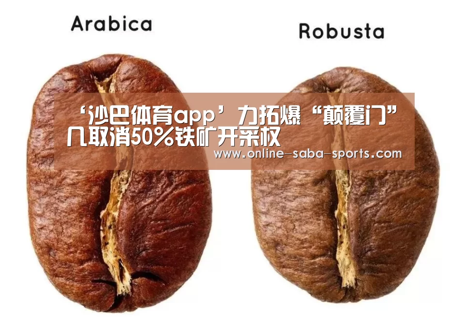 沙巴体育