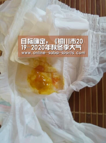 目标确定,《铜川市2019-2020年秋冬季大气污染综合治理攻坚行动方案》发布_政策法规_新闻_矿道网_沙巴体育(图1) 沙巴体育平台